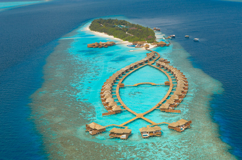 http://www.bestoftop.yolasite.com/resources/Tropical.jpg